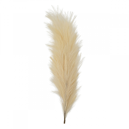 Feathered Stem (Set of Three) – Ivory